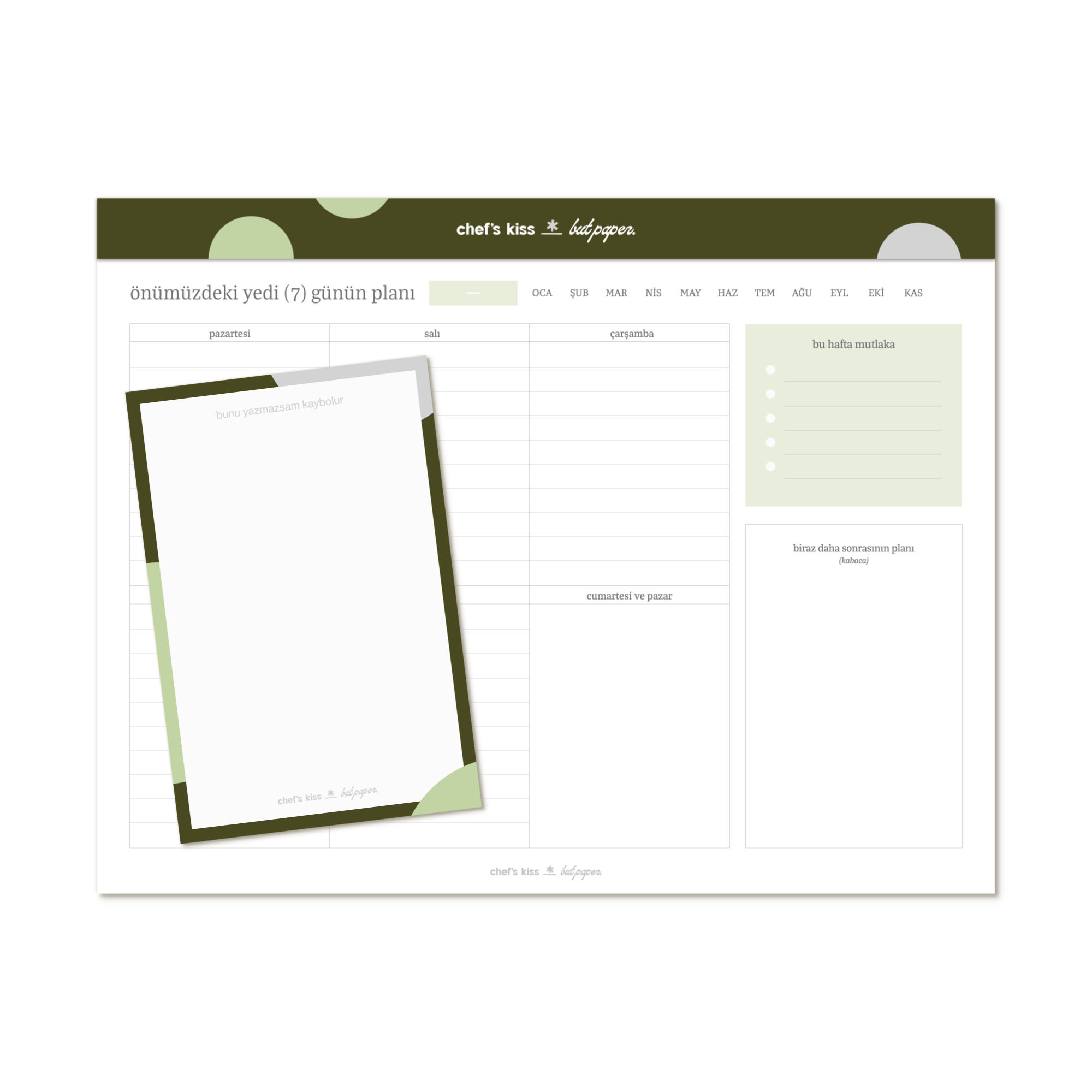 Balance Study Bundle (Focus)